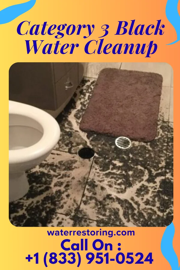 Category 3 Black Water Cleanup in Tatum, NM